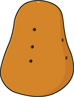 body